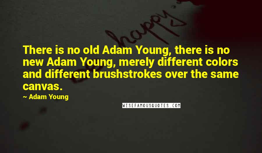 Adam Young Quotes: There is no old Adam Young, there is no new Adam Young, merely different colors and different brushstrokes over the same canvas.