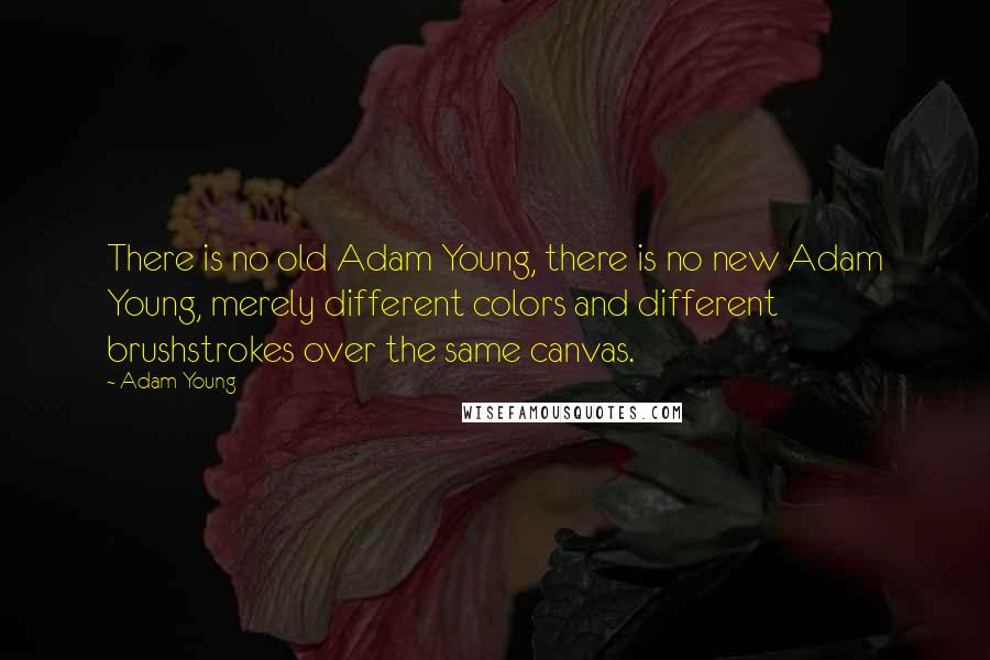 Adam Young Quotes: There is no old Adam Young, there is no new Adam Young, merely different colors and different brushstrokes over the same canvas.