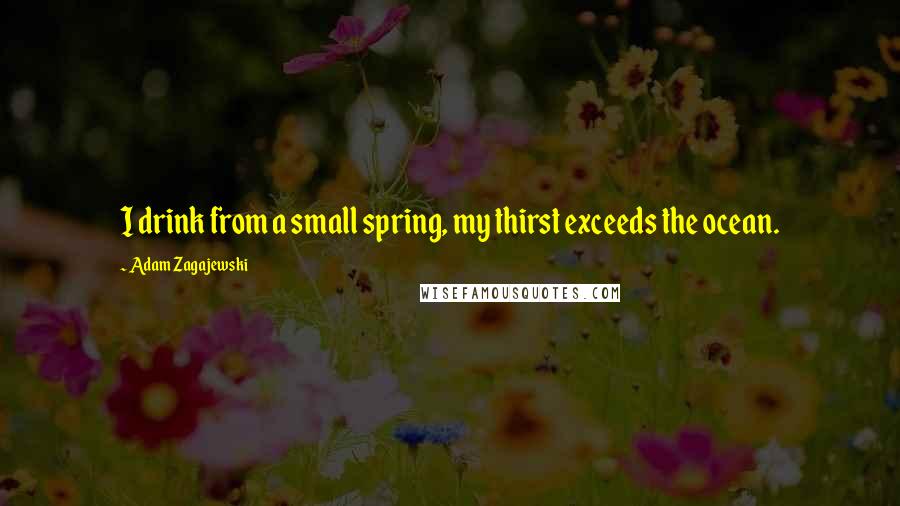 Adam Zagajewski Quotes: I drink from a small spring, my thirst exceeds the ocean.