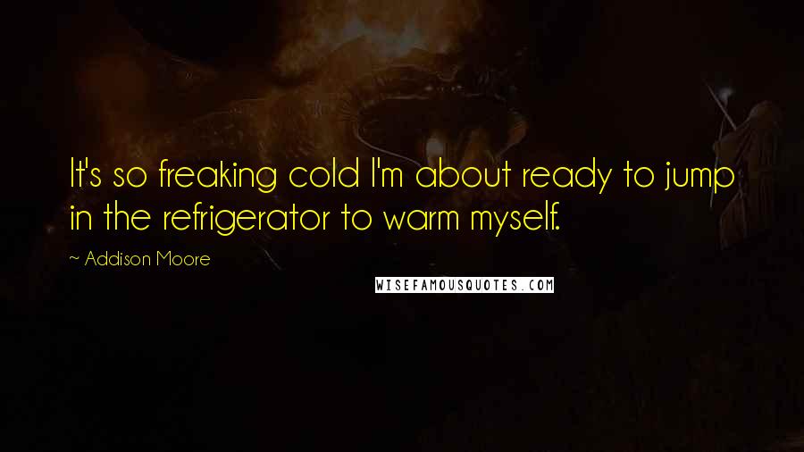 Addison Moore Quotes: It's so freaking cold I'm about ready to jump in the refrigerator to warm myself.