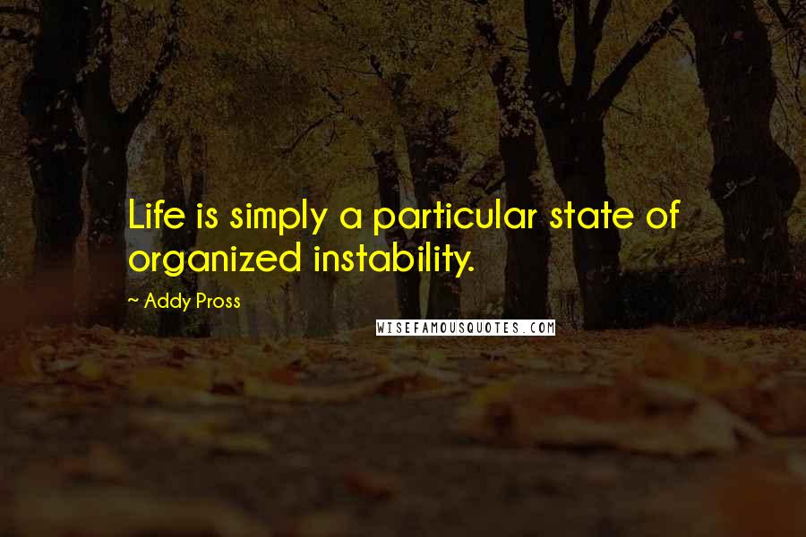 Addy Pross Quotes: Life is simply a particular state of organized instability.