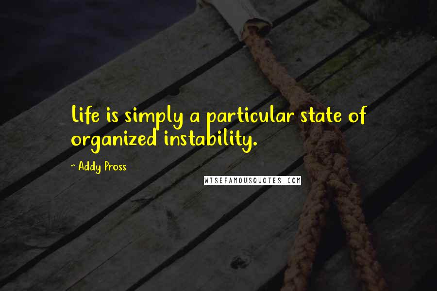 Addy Pross Quotes: Life is simply a particular state of organized instability.