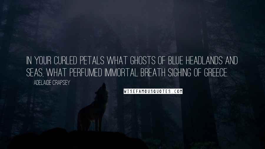 Adelaide Crapsey Quotes: In your Curled petals what ghosts Of blue headlands and seas, What perfumed immortal breath sighing Of Greece.