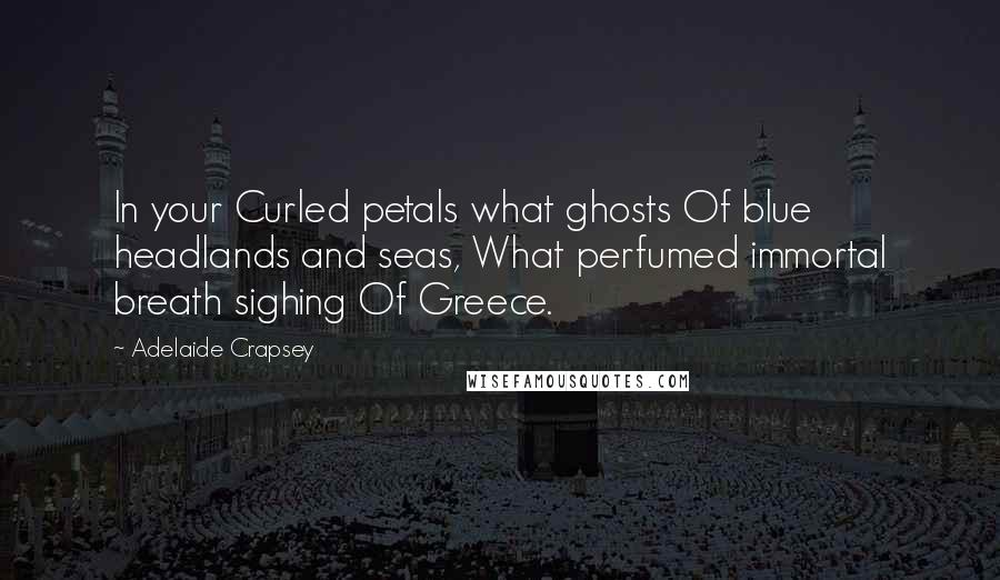Adelaide Crapsey Quotes: In your Curled petals what ghosts Of blue headlands and seas, What perfumed immortal breath sighing Of Greece.