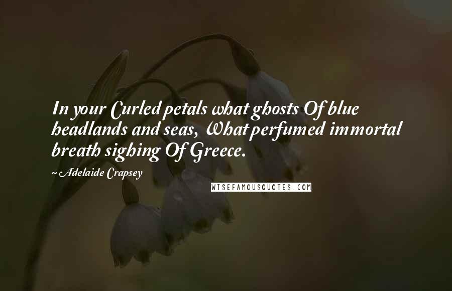 Adelaide Crapsey Quotes: In your Curled petals what ghosts Of blue headlands and seas, What perfumed immortal breath sighing Of Greece.