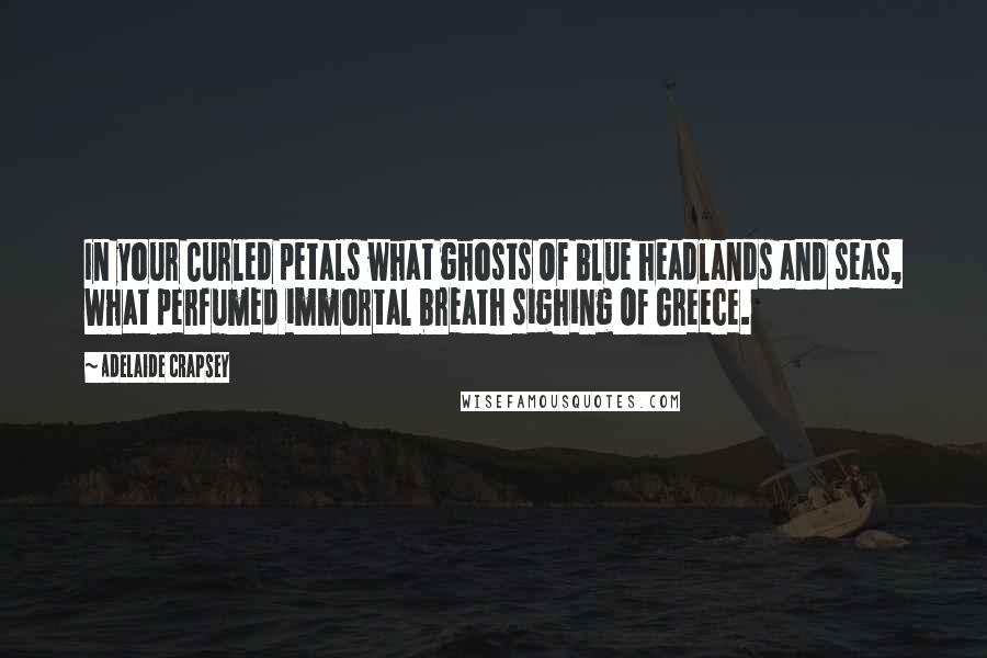 Adelaide Crapsey Quotes: In your Curled petals what ghosts Of blue headlands and seas, What perfumed immortal breath sighing Of Greece.