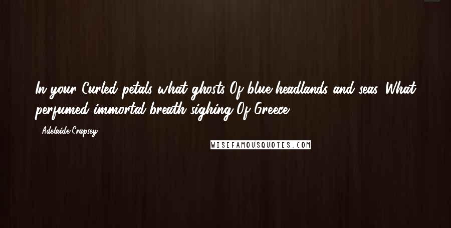 Adelaide Crapsey Quotes: In your Curled petals what ghosts Of blue headlands and seas, What perfumed immortal breath sighing Of Greece.