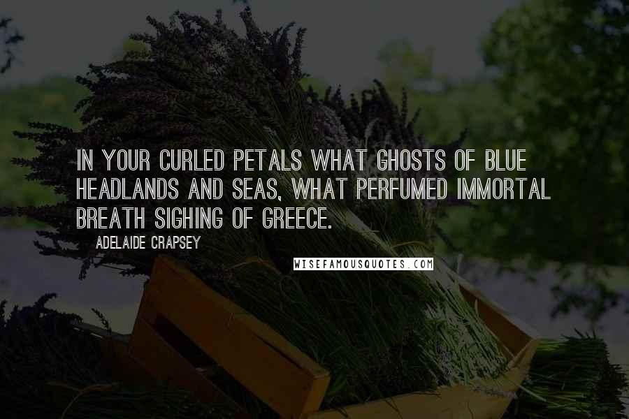 Adelaide Crapsey Quotes: In your Curled petals what ghosts Of blue headlands and seas, What perfumed immortal breath sighing Of Greece.