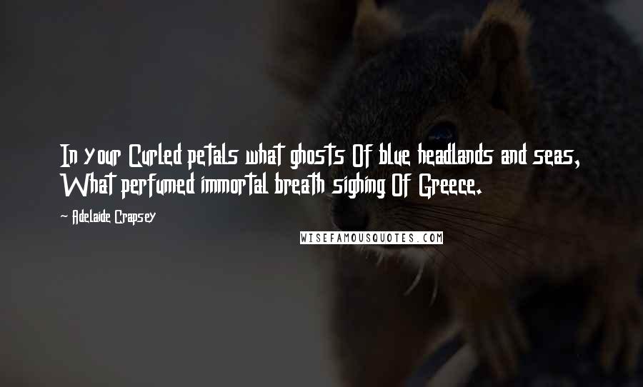 Adelaide Crapsey Quotes: In your Curled petals what ghosts Of blue headlands and seas, What perfumed immortal breath sighing Of Greece.