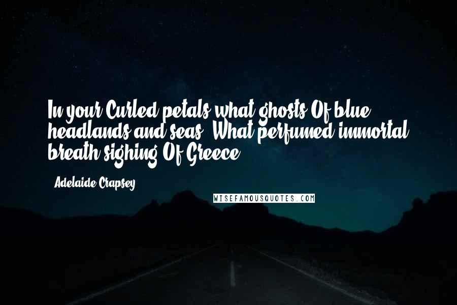 Adelaide Crapsey Quotes: In your Curled petals what ghosts Of blue headlands and seas, What perfumed immortal breath sighing Of Greece.