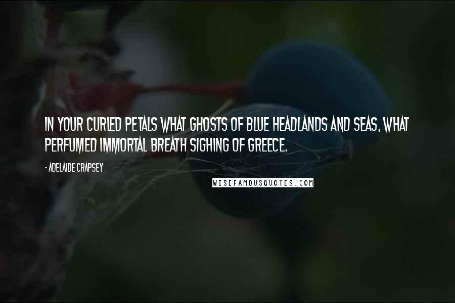 Adelaide Crapsey Quotes: In your Curled petals what ghosts Of blue headlands and seas, What perfumed immortal breath sighing Of Greece.