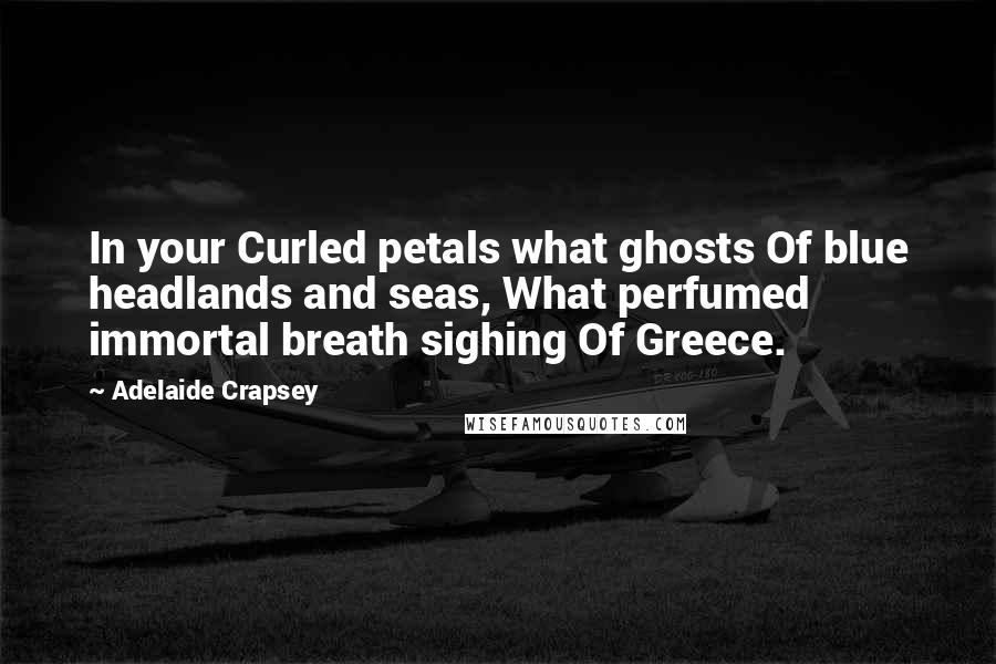 Adelaide Crapsey Quotes: In your Curled petals what ghosts Of blue headlands and seas, What perfumed immortal breath sighing Of Greece.