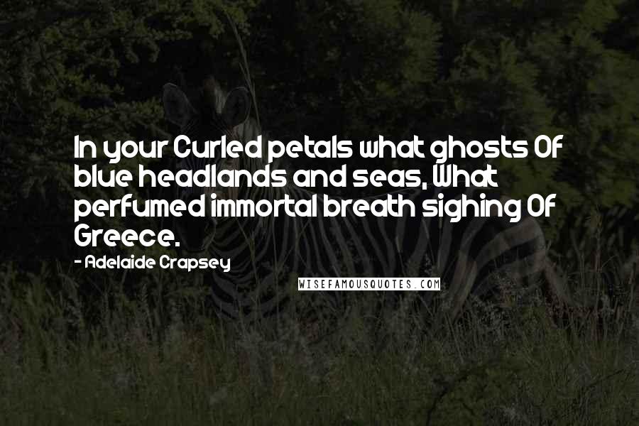 Adelaide Crapsey Quotes: In your Curled petals what ghosts Of blue headlands and seas, What perfumed immortal breath sighing Of Greece.