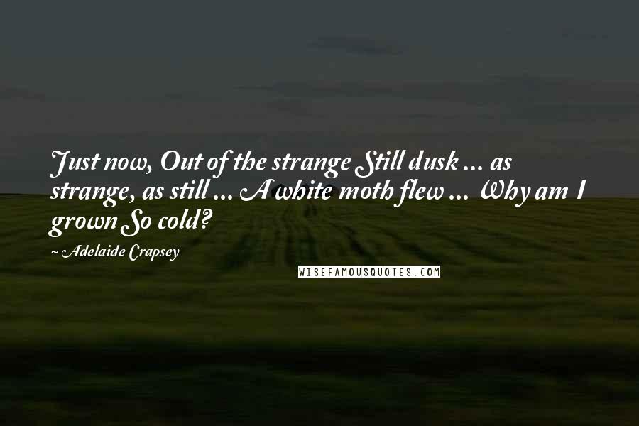Adelaide Crapsey Quotes: Just now, Out of the strange Still dusk ... as strange, as still ... A white moth flew ... Why am I grown So cold?