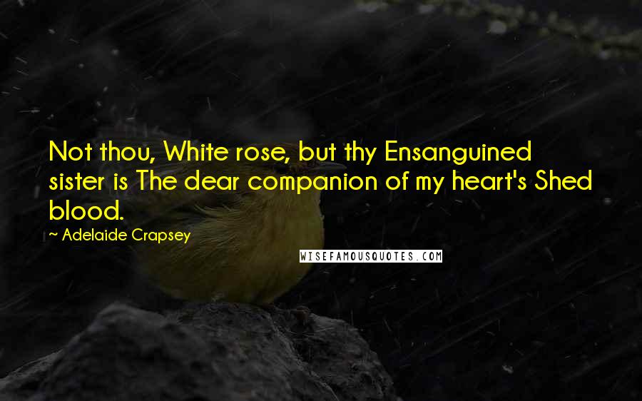 Adelaide Crapsey Quotes: Not thou, White rose, but thy Ensanguined sister is The dear companion of my heart's Shed blood.