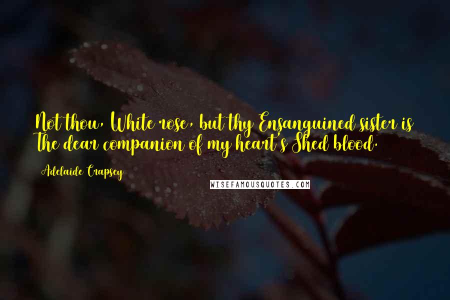 Adelaide Crapsey Quotes: Not thou, White rose, but thy Ensanguined sister is The dear companion of my heart's Shed blood.