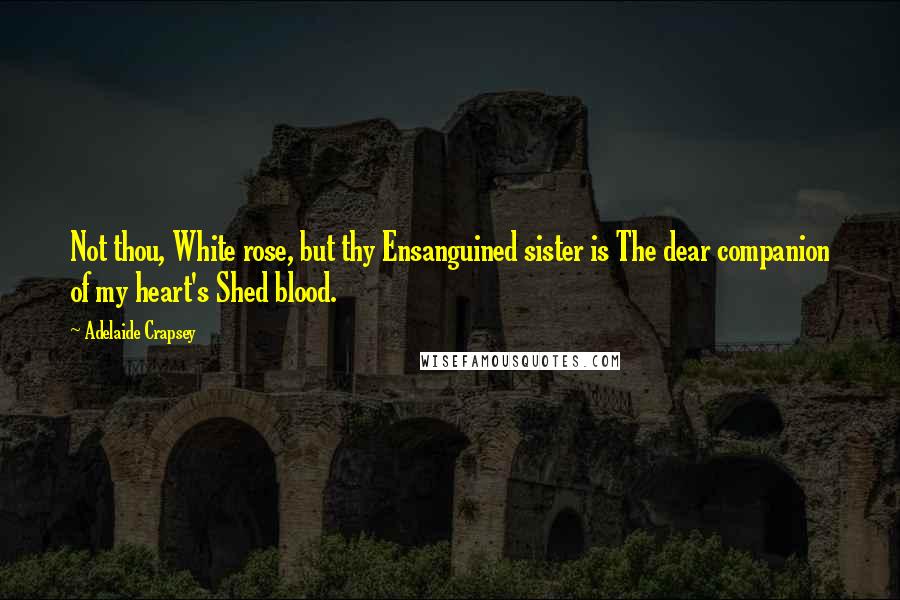 Adelaide Crapsey Quotes: Not thou, White rose, but thy Ensanguined sister is The dear companion of my heart's Shed blood.