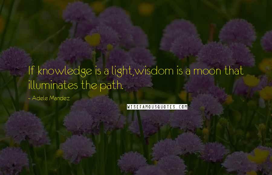 Adele Mandez Quotes: If knowledge is a light,wisdom is a moon that illuminates the path.