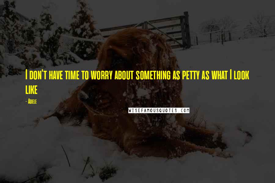 Adele Quotes: I don't have time to worry about something as petty as what I look like