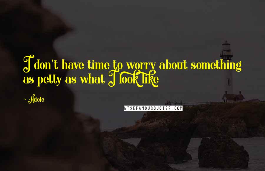 Adele Quotes: I don't have time to worry about something as petty as what I look like