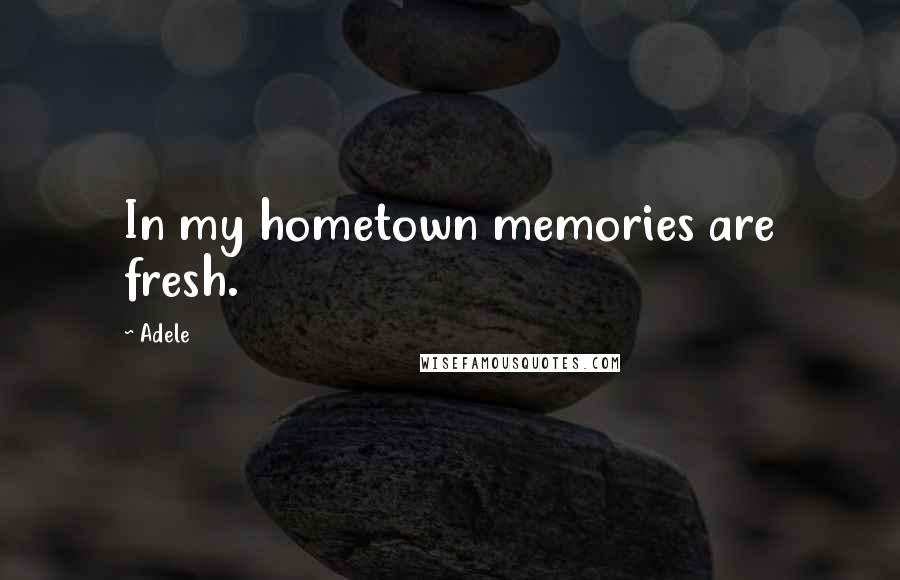 Adele Quotes: In my hometown memories are fresh.