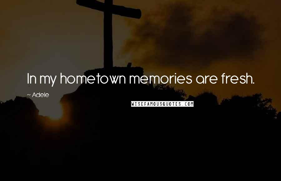 Adele Quotes: In my hometown memories are fresh.