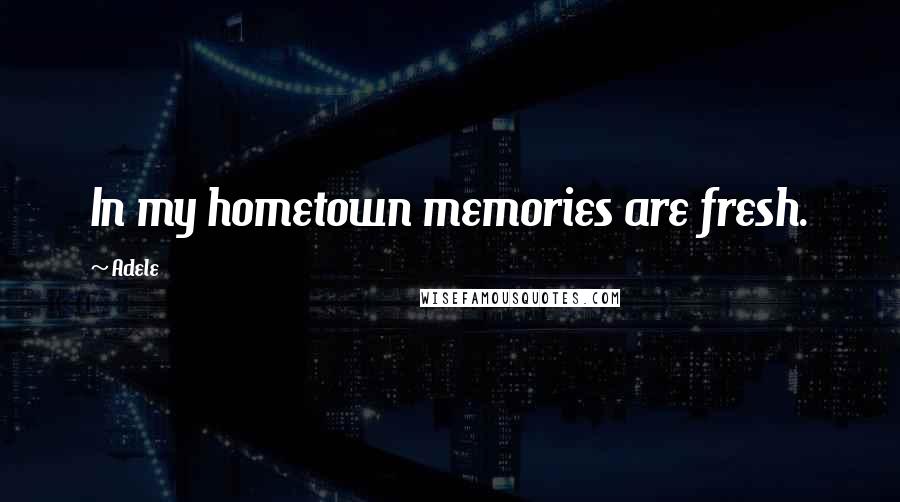 Adele Quotes: In my hometown memories are fresh.