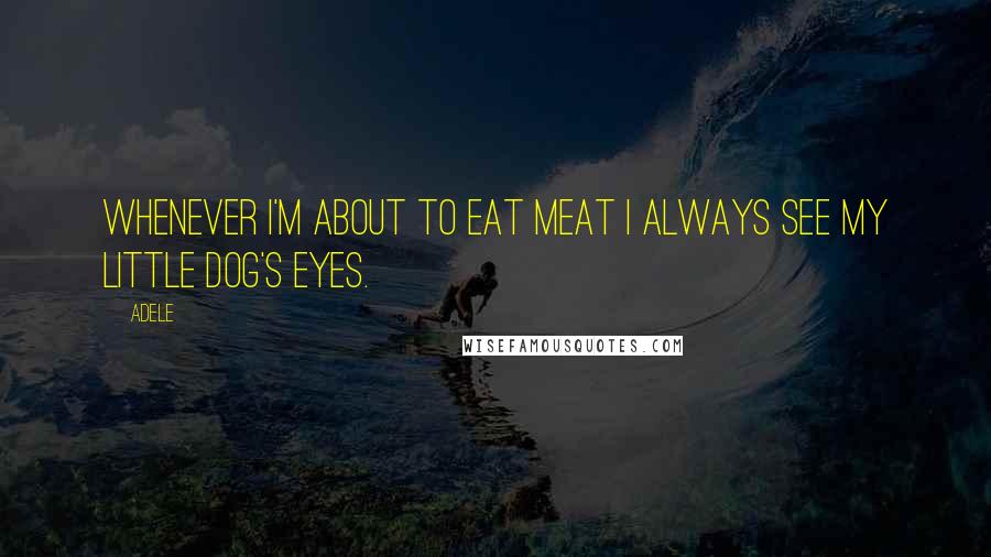 Adele Quotes: Whenever I'm about to eat meat I always see my little dog's eyes.