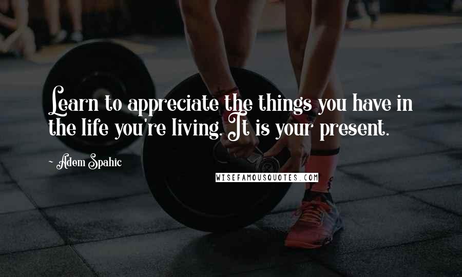 Adem Spahic Quotes: Learn to appreciate the things you have in the life you're living. It is your present.