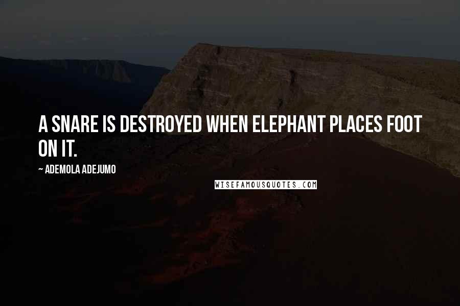 Ademola Adejumo Quotes: A snare is destroyed when elephant places foot on it.