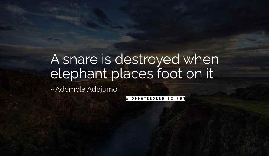 Ademola Adejumo Quotes: A snare is destroyed when elephant places foot on it.