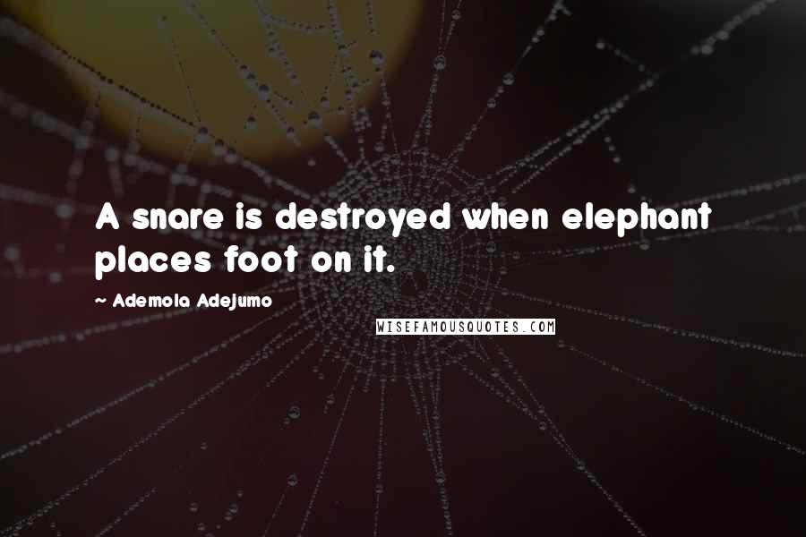 Ademola Adejumo Quotes: A snare is destroyed when elephant places foot on it.