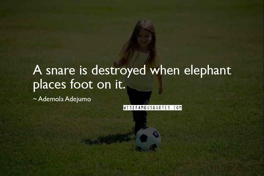Ademola Adejumo Quotes: A snare is destroyed when elephant places foot on it.