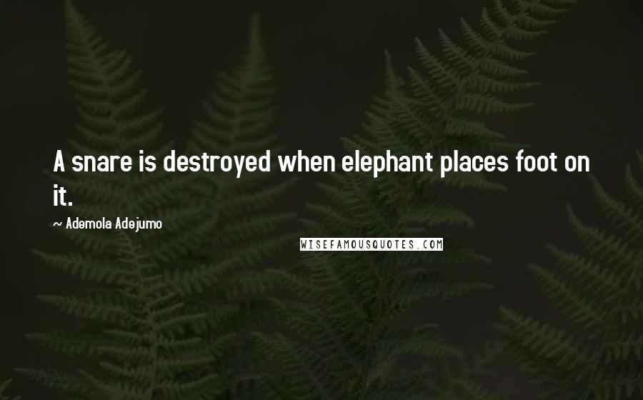 Ademola Adejumo Quotes: A snare is destroyed when elephant places foot on it.