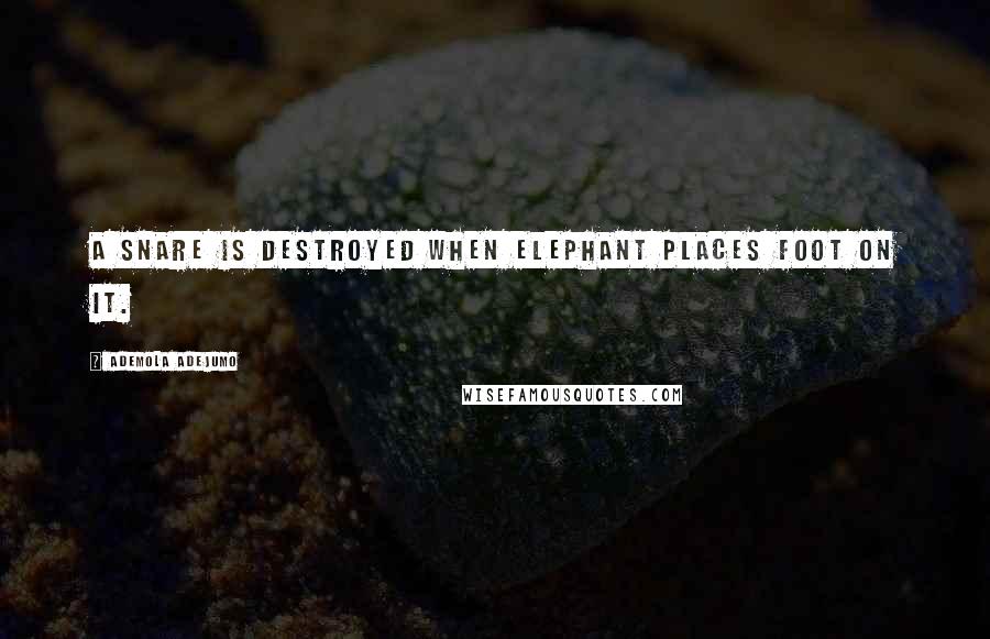 Ademola Adejumo Quotes: A snare is destroyed when elephant places foot on it.