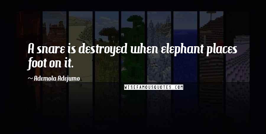 Ademola Adejumo Quotes: A snare is destroyed when elephant places foot on it.
