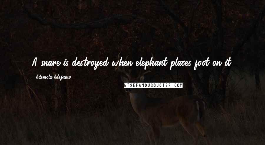 Ademola Adejumo Quotes: A snare is destroyed when elephant places foot on it.