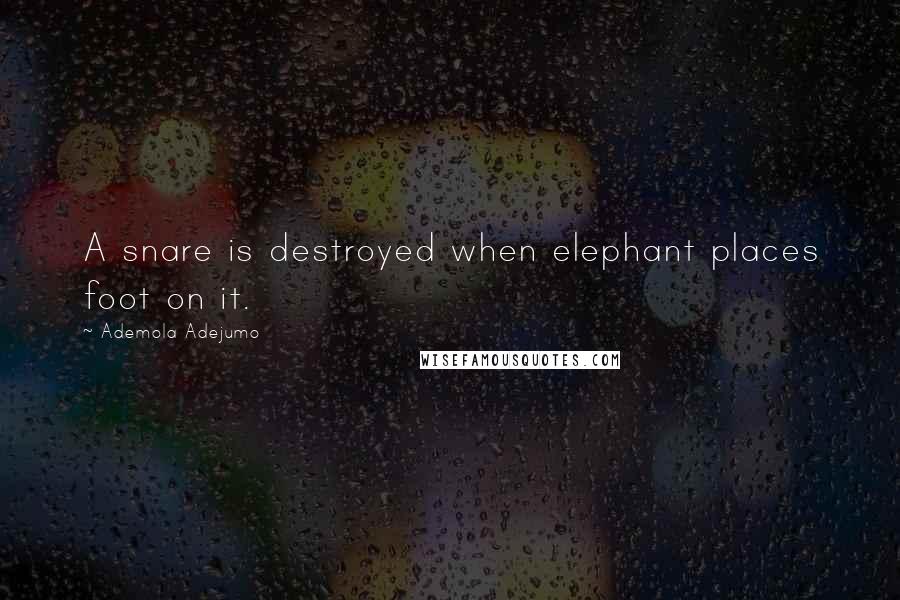 Ademola Adejumo Quotes: A snare is destroyed when elephant places foot on it.