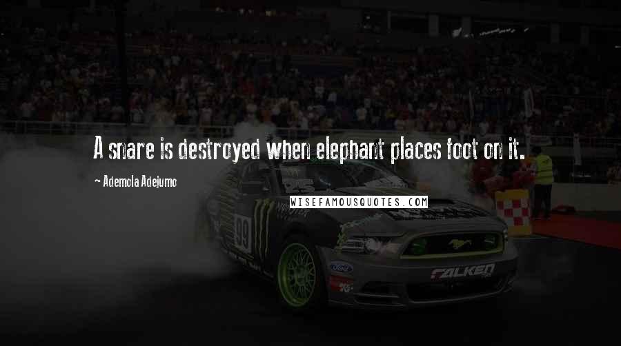Ademola Adejumo Quotes: A snare is destroyed when elephant places foot on it.