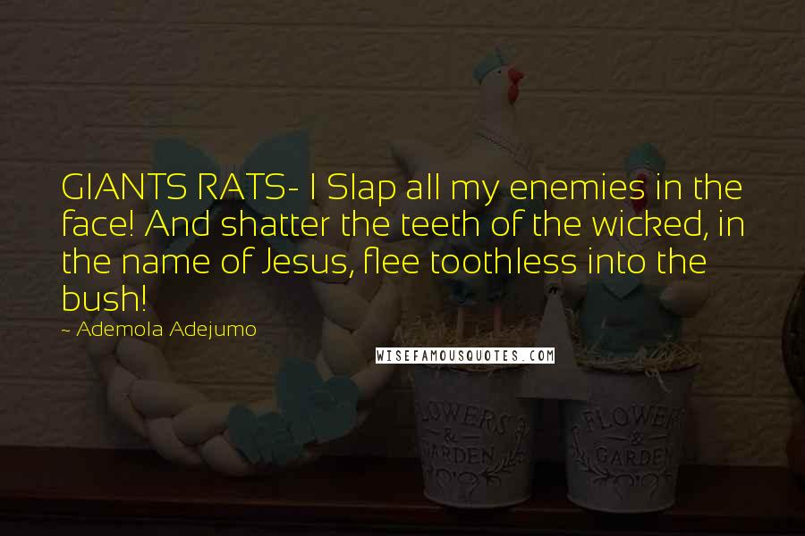 Ademola Adejumo Quotes: GIANTS RATS- I Slap all my enemies in the face! And shatter the teeth of the wicked, in the name of Jesus, flee toothless into the bush!
