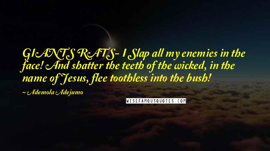 Ademola Adejumo Quotes: GIANTS RATS- I Slap all my enemies in the face! And shatter the teeth of the wicked, in the name of Jesus, flee toothless into the bush!