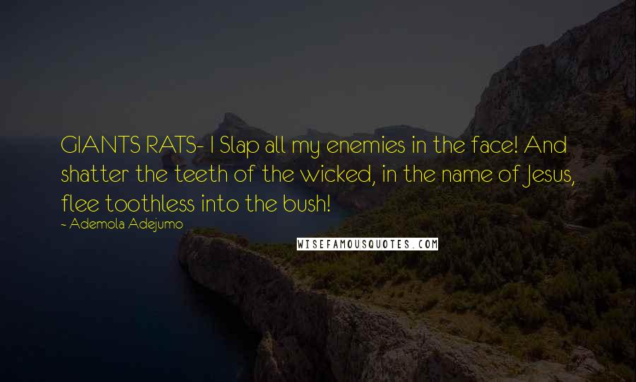 Ademola Adejumo Quotes: GIANTS RATS- I Slap all my enemies in the face! And shatter the teeth of the wicked, in the name of Jesus, flee toothless into the bush!