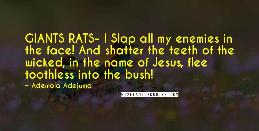 Ademola Adejumo Quotes: GIANTS RATS- I Slap all my enemies in the face! And shatter the teeth of the wicked, in the name of Jesus, flee toothless into the bush!
