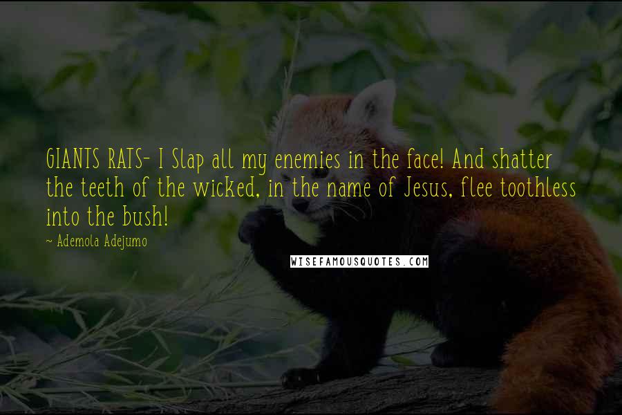 Ademola Adejumo Quotes: GIANTS RATS- I Slap all my enemies in the face! And shatter the teeth of the wicked, in the name of Jesus, flee toothless into the bush!