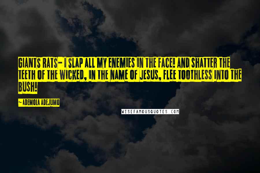 Ademola Adejumo Quotes: GIANTS RATS- I Slap all my enemies in the face! And shatter the teeth of the wicked, in the name of Jesus, flee toothless into the bush!