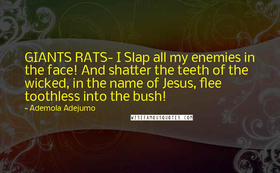 Ademola Adejumo Quotes: GIANTS RATS- I Slap all my enemies in the face! And shatter the teeth of the wicked, in the name of Jesus, flee toothless into the bush!