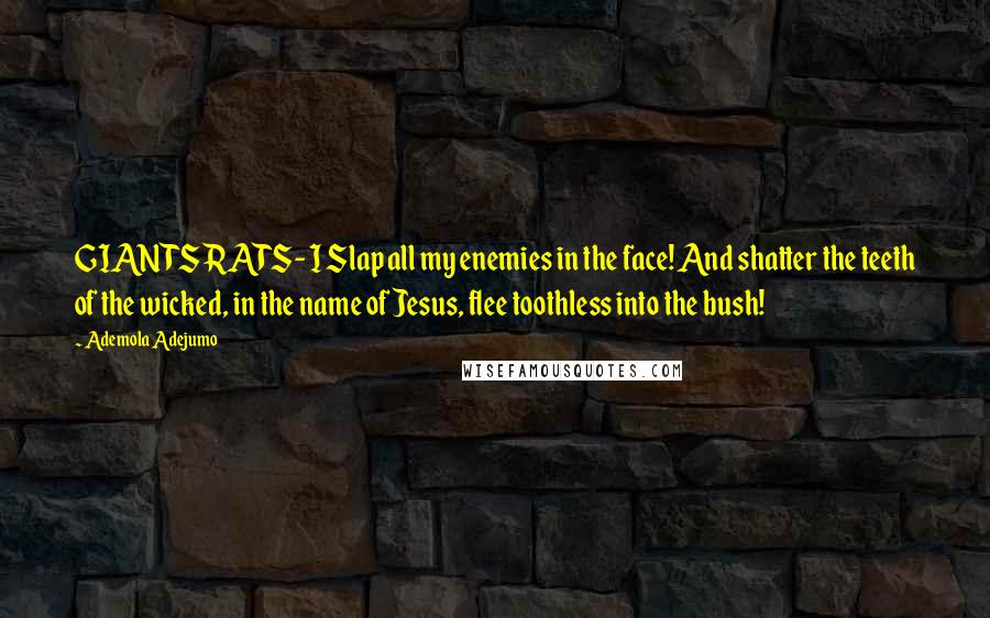 Ademola Adejumo Quotes: GIANTS RATS- I Slap all my enemies in the face! And shatter the teeth of the wicked, in the name of Jesus, flee toothless into the bush!