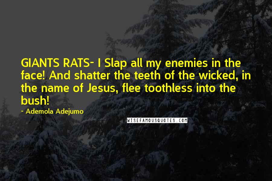 Ademola Adejumo Quotes: GIANTS RATS- I Slap all my enemies in the face! And shatter the teeth of the wicked, in the name of Jesus, flee toothless into the bush!