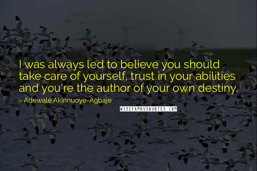 Adewale Akinnuoye-Agbaje Quotes: I was always led to believe you should take care of yourself, trust in your abilities and you're the author of your own destiny.