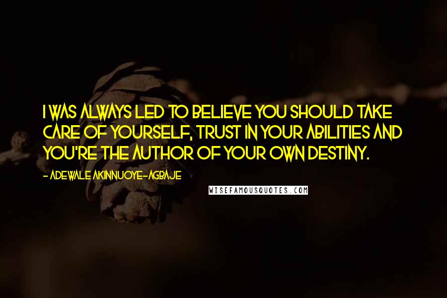 Adewale Akinnuoye-Agbaje Quotes: I was always led to believe you should take care of yourself, trust in your abilities and you're the author of your own destiny.